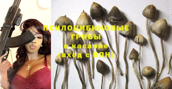 твердый Балахна