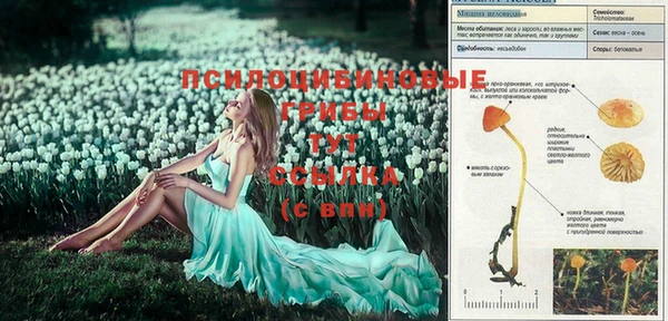 бутират Балабаново