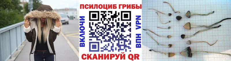 закладки  Лангепас  Галлюциногенные грибы мицелий 